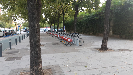 29858 parking bicicletas alquiler