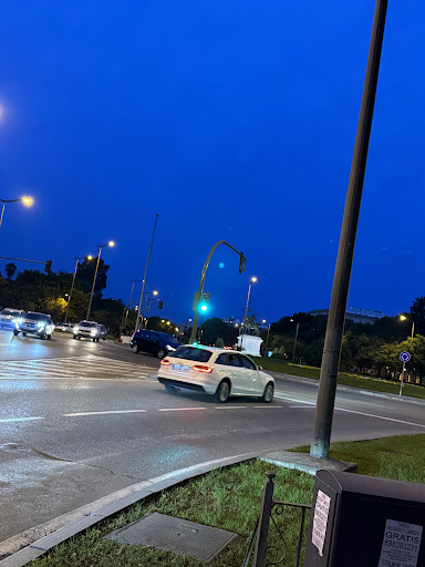 30177 parque de maria luisa