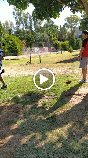 30190 parque perros agility 1