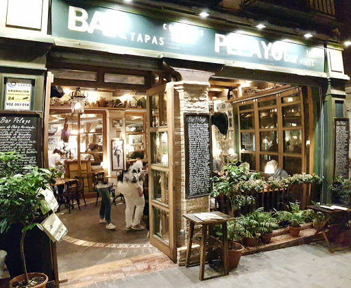 30400 pelayo bar 2