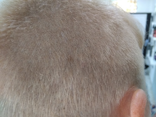 30505 peluqueria bellissima 2