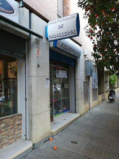 30543 peluqueria caballeros pablo oyola 2