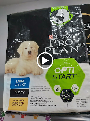 30558 peluqueria canina huesitos 1