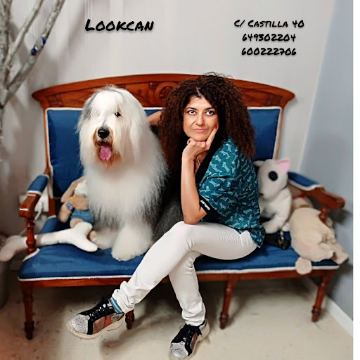 30561 peluqueria canina look can 2