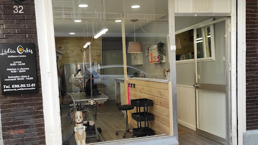 30570 peluqueria canina. lidia ortiz 2