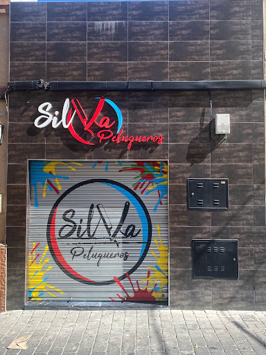 30726 peluqueria del silva 1