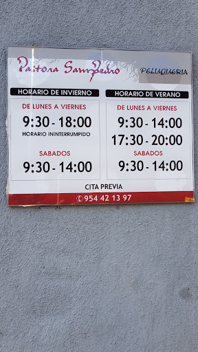 31119 peluqueria pastora sampedro 1