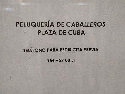31137 peluqueria plaza de cuba 2