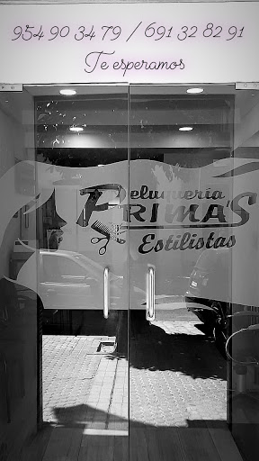 31143 peluqueria primas arce 1