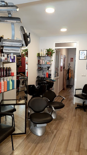 31143 peluqueria primas arce 2