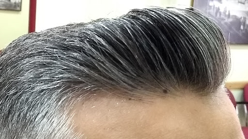 31187 peluqueria romero 1