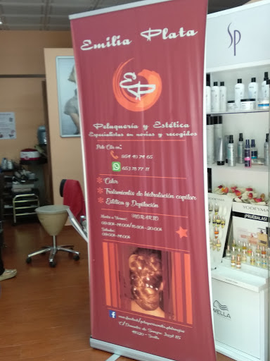 31254 peluqueria unisex emilia plata 1