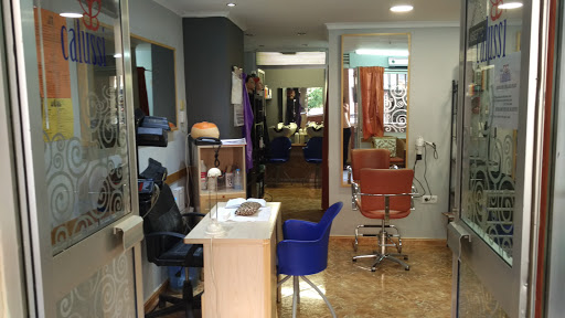 31335 peluqueria y estetica calussi