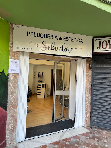 31369 peluqueria y estetica sebador 2