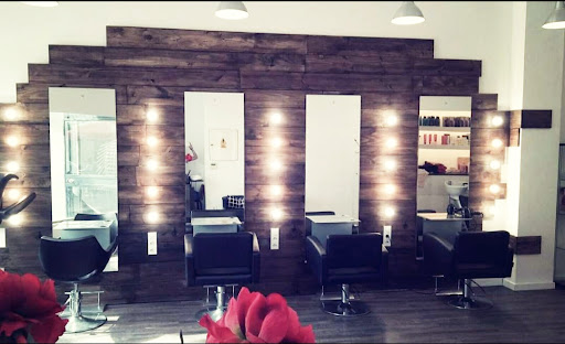 31372 peluqueria y estetica sete cuevas 2