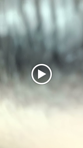 31410 peluquero fesi 1