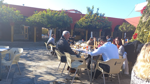 31482 pena cultural betica 1