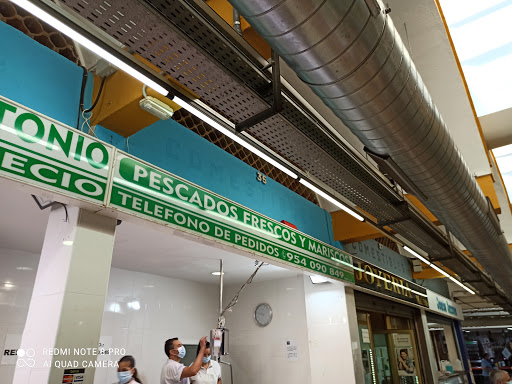 31594 pescaderia loli y antonio 2