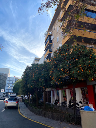 32081 plaza de la gavidia