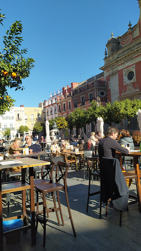 32093 plaza del salvador