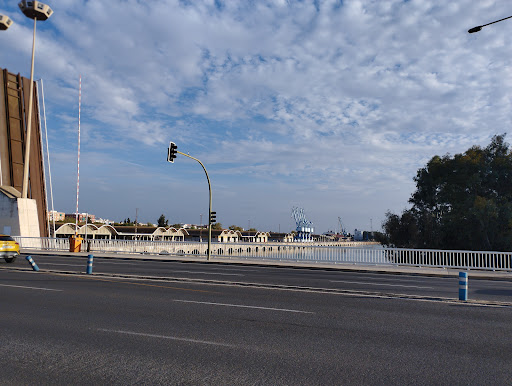 32570 puente de las delicias