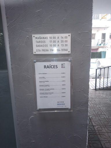 32797 raices 2 nervion 1