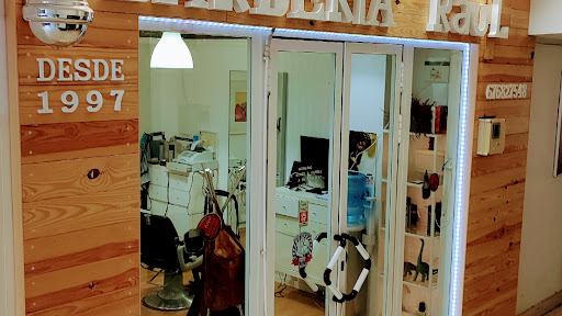 32837 raul peluquero 1