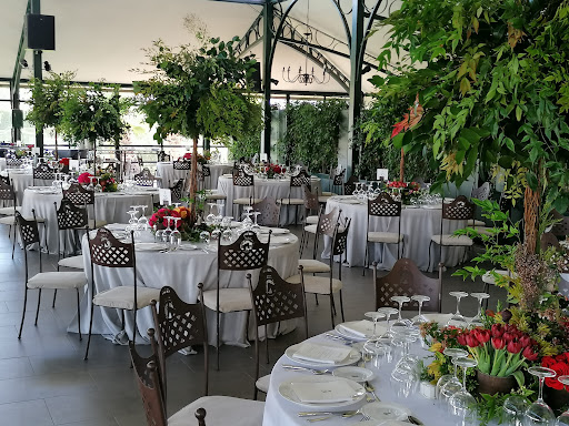 32884 real club pineda de sevilla