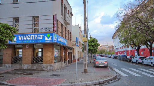 32890 real estate agency vivenzia nervion