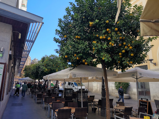 33289 restaurante avenida restauracion 2