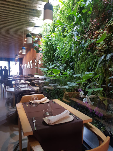 33633 restaurante de la o