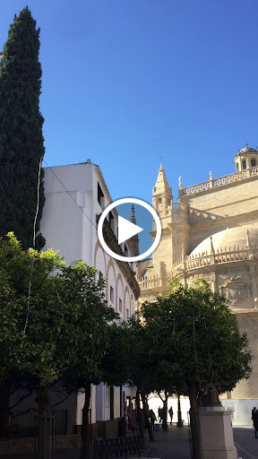 33804 restaurante el giraldillo sevilla 1