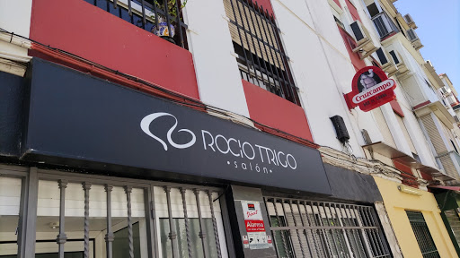 35347 rocio trigo salon 1