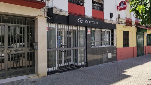 35347 rocio trigo salon 2