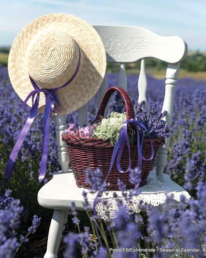 35541 sabor andaluz 1