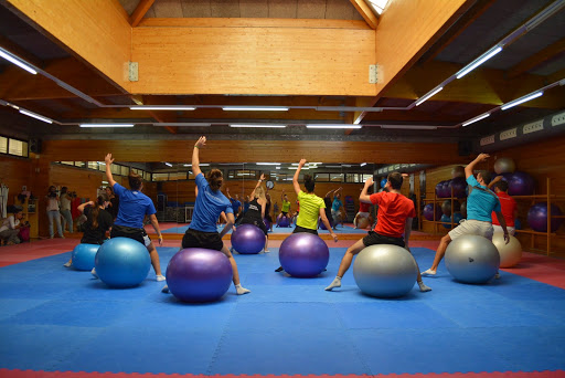 35566 sadus 8211 servicio de actividades deportivas de la universidad de sevilla bermejales