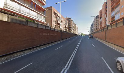 36040 sazon the folk cook 1