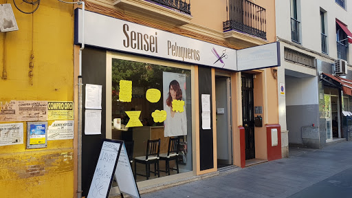 36106 sensei peluqueros