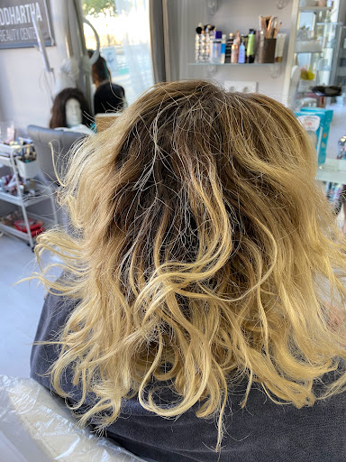 36458 siddhartha beauty center