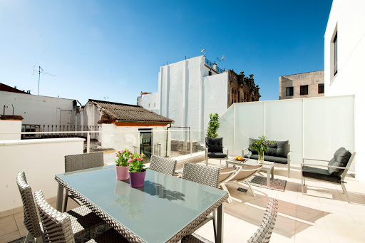 36519 singular metropol 2