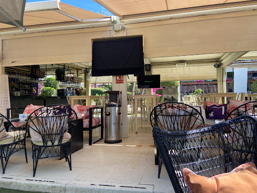 36653 sojo sevilla 2