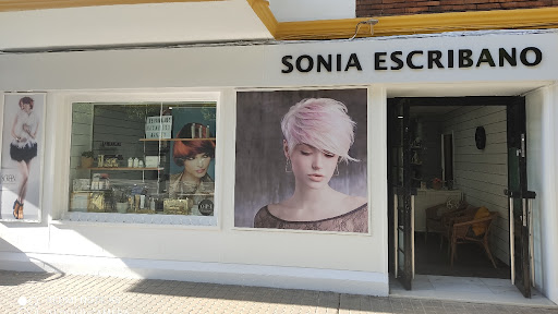 36703 sonia escribano