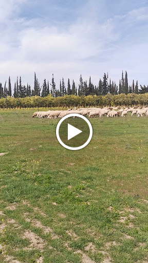 36882 suhogar sevilla s l