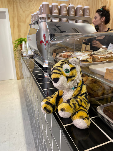 37146 syra coffee 8211 las setas