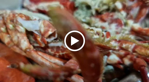 37634 taberna rafa leon 1