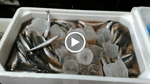 37674 taberna abaceria 8216los rodriguez 1