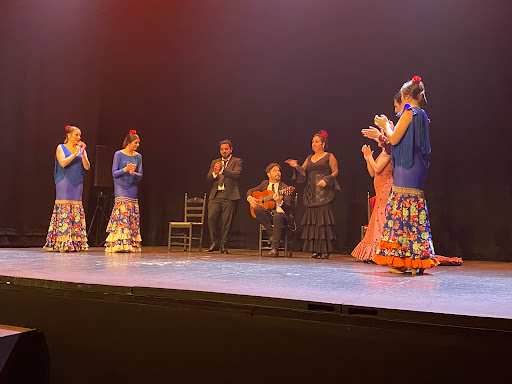 38542 teatro flamenco sevilla espectaculo flamenco en sevilla