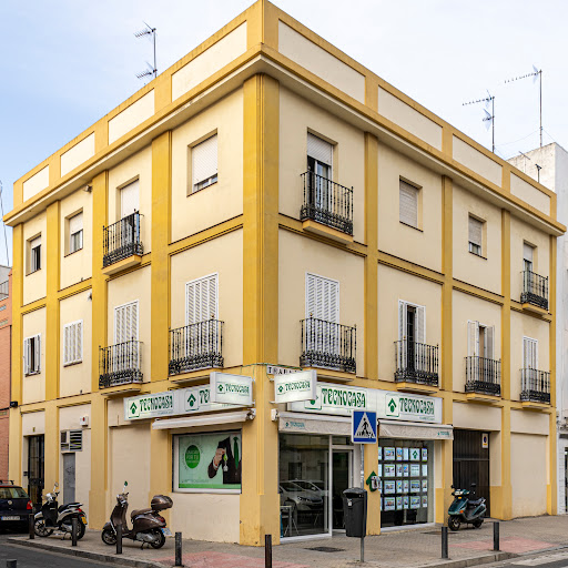 38591 tecnocasa agencia inmobiliaria