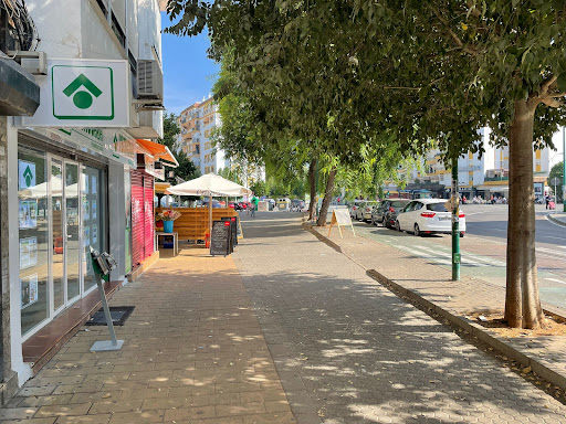 38597 tecnocasa agencia inmobiliaria