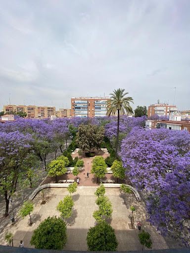 38603 tecnocasa agencia inmobiliaria juncal